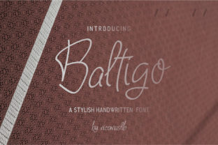 Baltigo: A Modern Script Font for Web Design