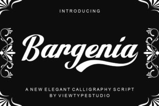 Bargenia Script: A Modern Script Font for Creative Branding