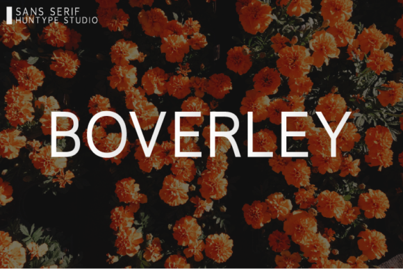 Boverley: A Modern Sans Serif Font for Branding Projects