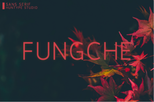 Fungche: A Modern Sans Serif Font for Creative Projects