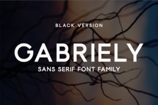 Gabriely Black – A Modern Sans Serif Font for Crafters
