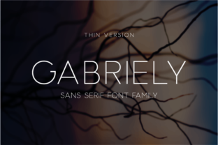 Gabriely Thin for Web Design: A Modern Sans Serif Font