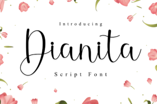 How Dianita Font Transformed My Brand’s Visual Identity