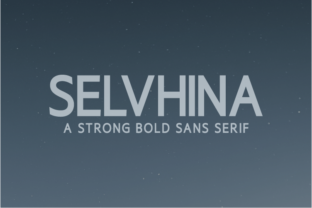 How Selvhina Transformed My Campaign Visuals