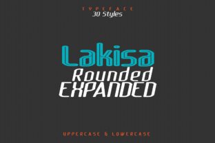 Lakisa Rounded Expanded Review for Real Projects