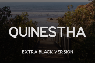 Quinestha Extra Black in Real Branding Projects