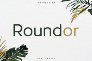 Roundor: A Modern Sans Serif for Bold Branding