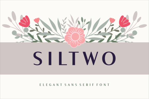 Siltwo: A Modern Sans Serif Font for Web Design