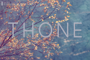 Thone: A Versatile Sans Serif Font for Modern Branding